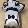 シーズーメス6歳 サムネイル4