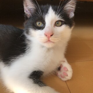 ８月23日産まれです。