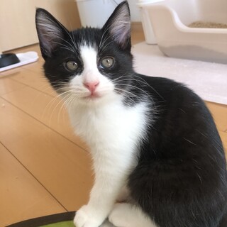 ８月23日産まれです。