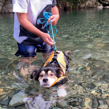 川遊び