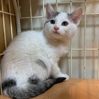 【11/12東銀座】ピアノちゃん★3ヵ月♪