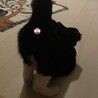 足はホットパンツを履いているよ
