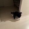 お出迎え