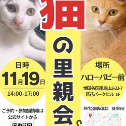 猫の里親会