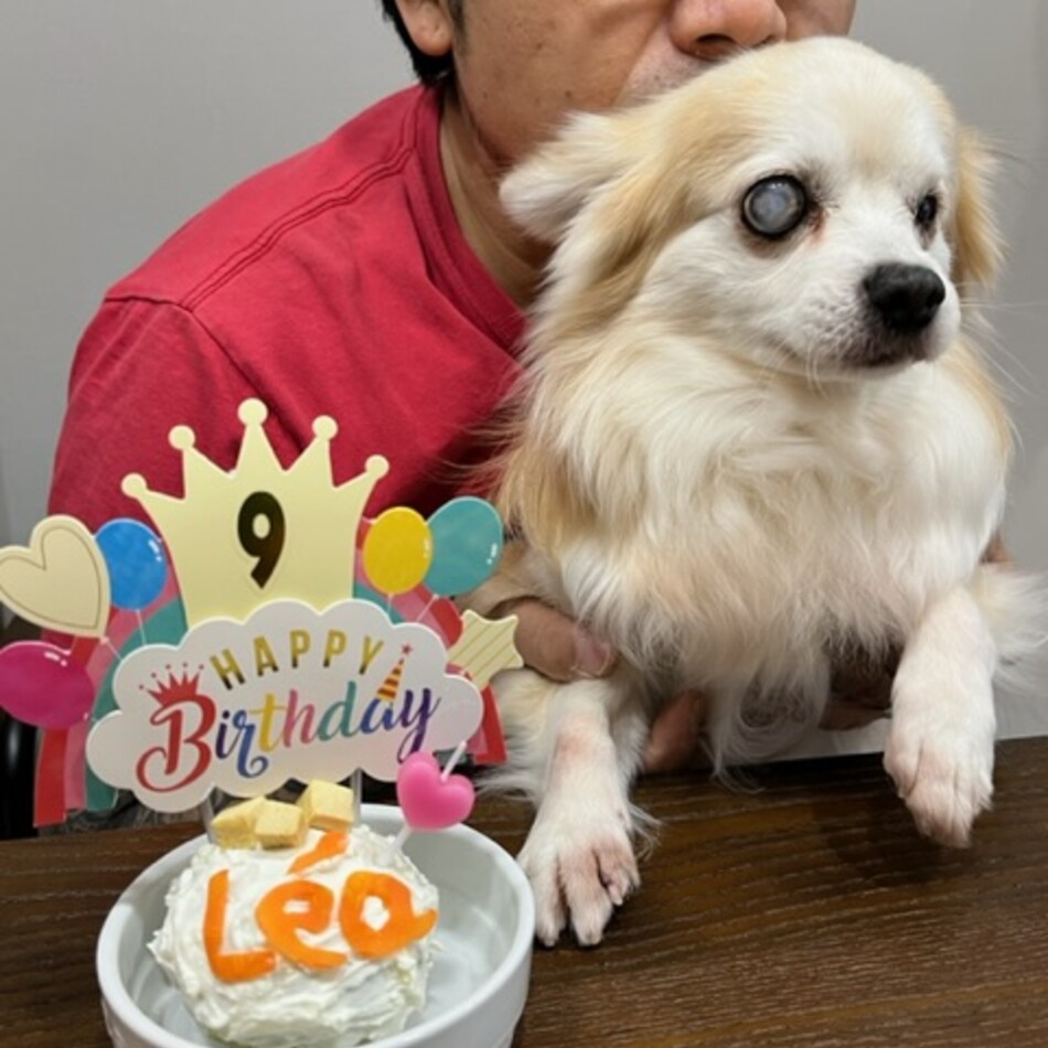 レアのカバー写真