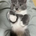 甘えん坊♡ねず太くん