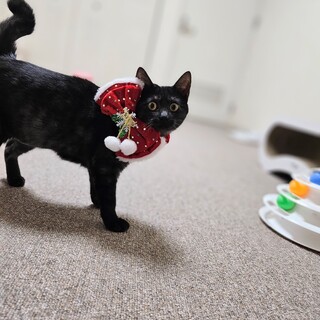 ☆クリスマスは家族と一緒に☆