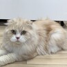 ⭐︎ココナくんスコ男の子⭐︎ サムネイル4