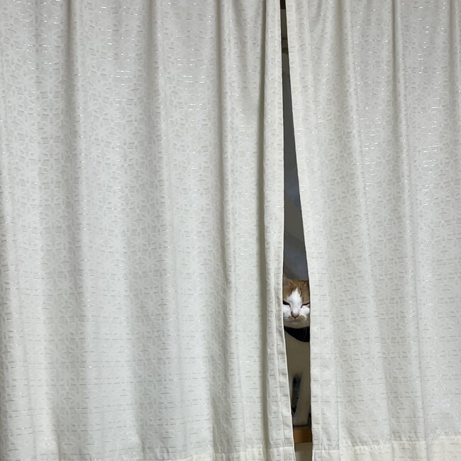 　み　きのカバー写真