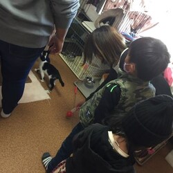 AWA総社犬ねこ譲渡会　 サムネイル3