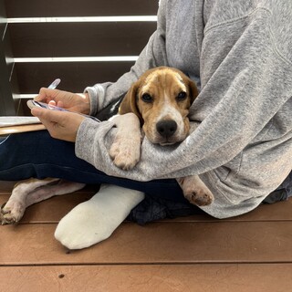 【元気いっぱい】ボールが大好きなグーくん