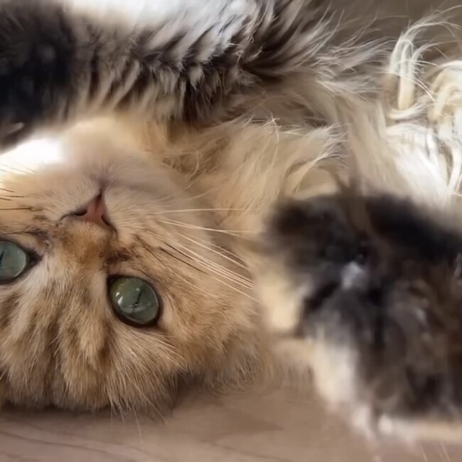 みなみ118のカバー写真