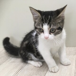 お迎えありがとうございました