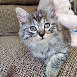 11/12稲毛海岸ෆ⃛おてんば女子ෆ⃛ベイクちゃん