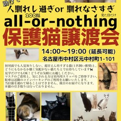 人馴れしすぎor馴れなさすぎ猫譲渡会　名古屋
