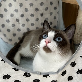 遊ぶこと＆猫が大好き！ゴロスリの女の子