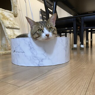 照れ屋なレオン君♡