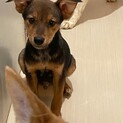 素敵なご縁がありましたびびりですが優しい男の子