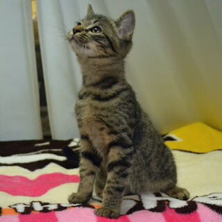 ゆかちゃん　3ヶ月性格◎