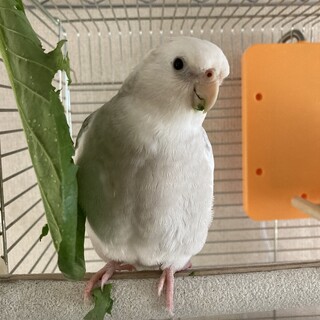 たくさんの応募、本当にありがとうございました　