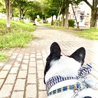 belleちゃん遅いね、、Pepくん＾＾