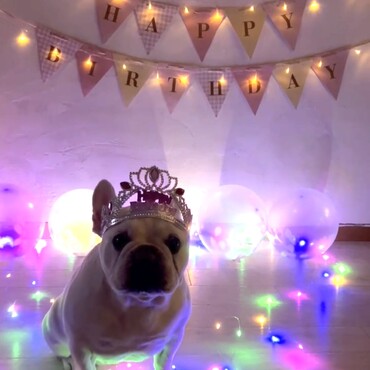 9歳！おめでとう❗️belleちゃん＾＾ずーっと元気で‼️