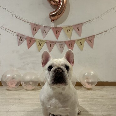 誕生日パーティー前にパシャ！belleちゃん！