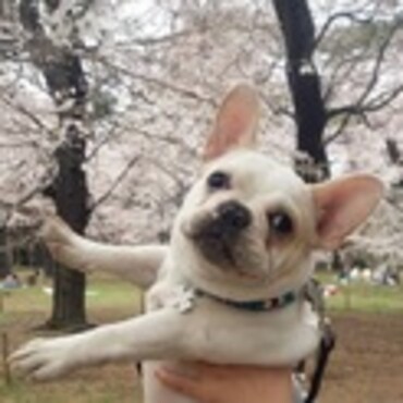 belleちゃん、8ヵ月頃！