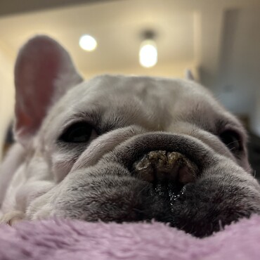 まったりbelleちゃん＾＾