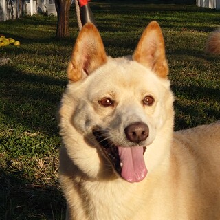 いつもニコニコ明るい仁くん