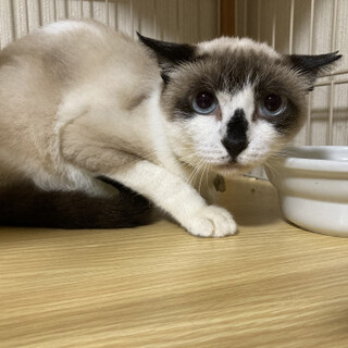 怪我からの復活★アクアちゃん