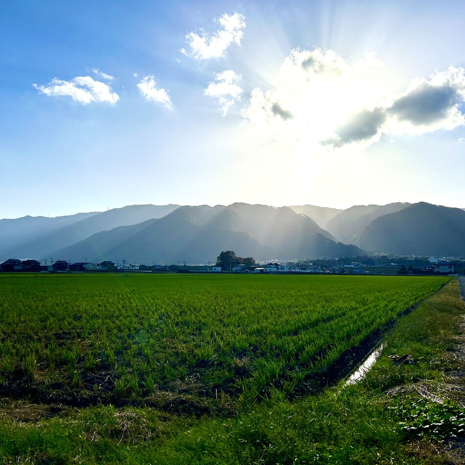 茅軍曹(愛称グンちゃん)のカバー写真