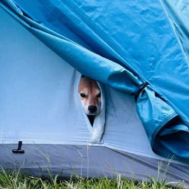 キャンプデビューしました