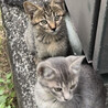 ちゅーらー