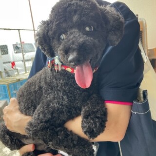 全盲なんて気にしない いつもニコニコまるもくん