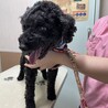 全盲なんて気にしない いつもニコニコまるもくん サムネイル6