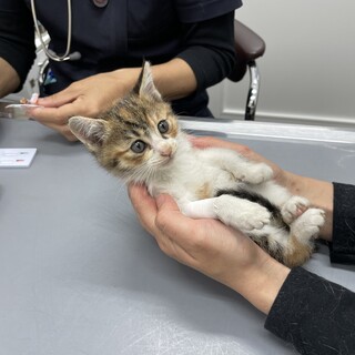 キュンキュンな可愛さ❤️