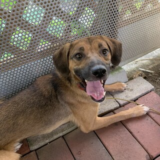 表情豊かな女の子4歳の『りんこ』ちゃん