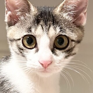 【11/19東日本橋】ベタベタ甘えん坊♡なか