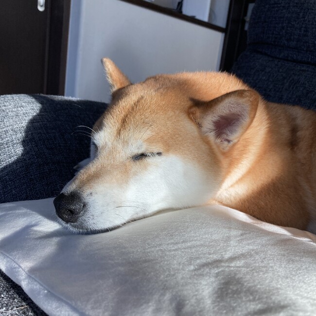 あきなつはるのカバー写真