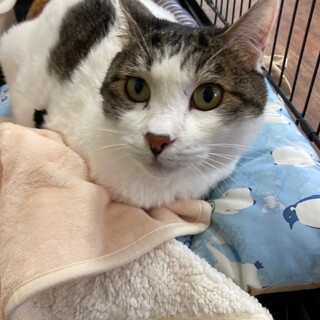 抱っこ大好き！甘えん坊のサスケ君