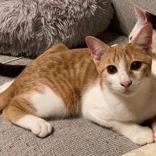 募集停止物怖じしない大らかな男子⭐️ラキ