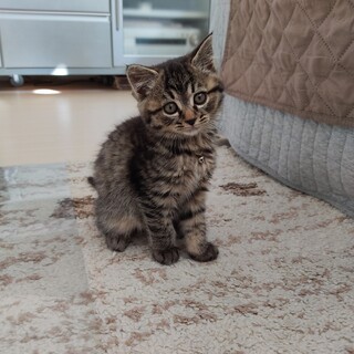 生後２ヶ月　陽キャ女子????