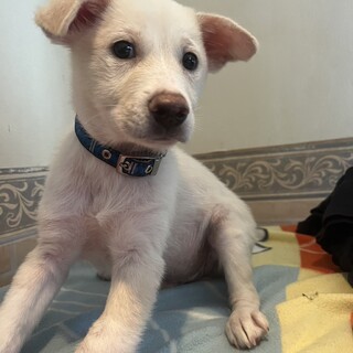 中学、四国、関西、関東で募集！イケメン君