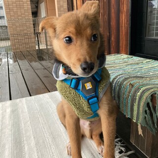 かわいい大豆くん