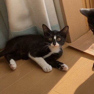 トラックからコロンと出て来た女の子☆