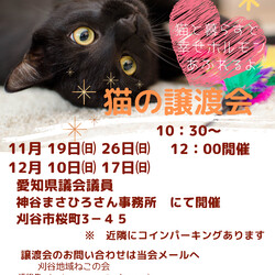 刈谷地域ねこの会　譲渡会