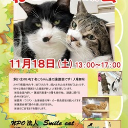 ★１１月１８日（土）「ねこの譲渡会」NPO法人Smile cat（室内） サムネイル1