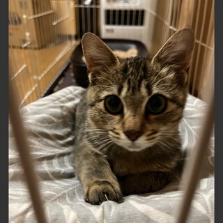 膝の上が大好きになりました♡