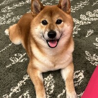 豆之進【まめのしん】